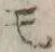字モ