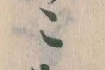 こ 위치 확인됨