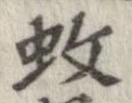 位置 確認된 蚊