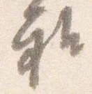 已定位雅