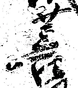 Đã định vị 菩