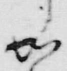 文字如