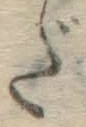 文字だ