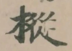 樅の位置