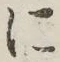 글자 に