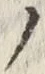 “ノ”字