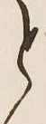 Character と