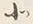 文字北