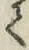 文字て