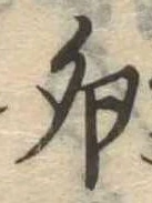 位置 確認된 卵