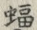 글자 蝠
