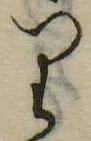 位置 確認된 𛃶