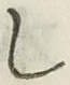 글자 し