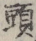 已定位頭