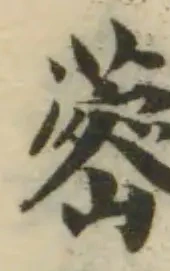 蔤の位置