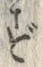 Character ず