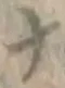 文字ナ