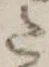 𛁠 위치 확인됨