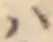 Đã định vị 𛂞