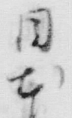 글자 同