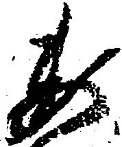 已定位委