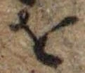𛄜 위치 확인됨