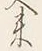 글자 来