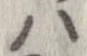 已定位𛂞