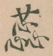 蕊の位置