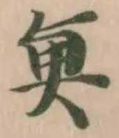 魚 위치 확인됨