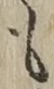 文字も