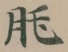 𦘴 위치 확인됨
