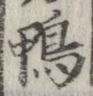 鴨 위치 확인됨