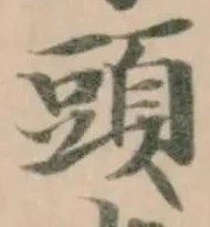 頭 위치 확인됨