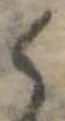 候 위치 확인됨