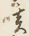 咳 위치 확인됨
