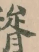 䊎 위치 확인됨