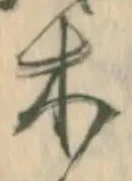 𡨸木