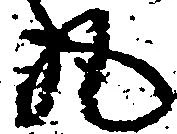 已定位丸