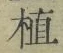 文字植