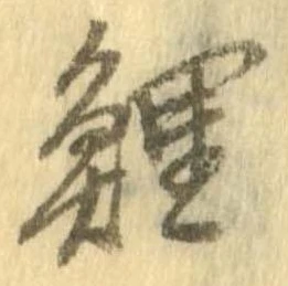 鯉の位置