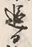 字漸