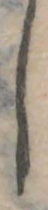 𛁅 위치 확인됨