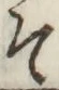 글자 そ
