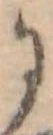 位置 確認된 𛂌