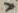 「ヤ」字