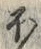 글자 ほ