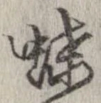 已定位蝶