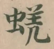 蜣 위치 확인됨