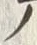 字見